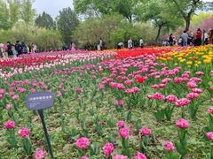 -国家植物园