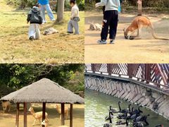 -泉州海丝野生动物世界