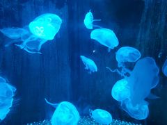 -南昌融创海世界