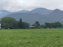 -瑞穗牧场