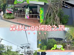 -圣淘沙天际线斜坡滑车