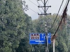 -南山植物园