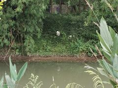 -桤木河湿地公园