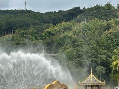 -西双版纳原始森林公园