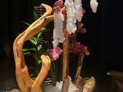-蟹犇前•帝王蟹雪蟹(陆家嘴店)