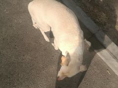 -天兴居(大兴店)