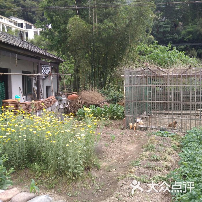 安吉龙王村