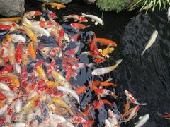 -聚福宝合苑食府(南头镇店)