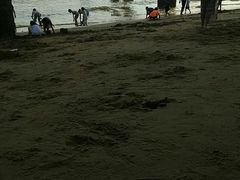 -演武大桥观景平台