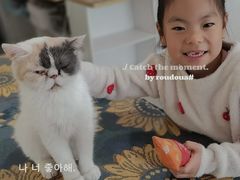 -平行世界·猫咖(首经贸店)