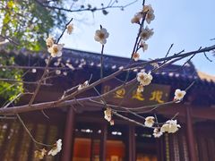 -钱王祠