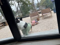 -J Create城市露营咖啡·简餐·宠物(上海动物园店)