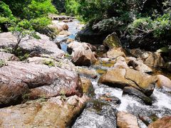 -广州白江湖森林公园