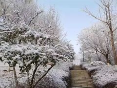-济南植物园
