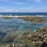 朝花夕拾|台湾禅修/旅行/生活碎片