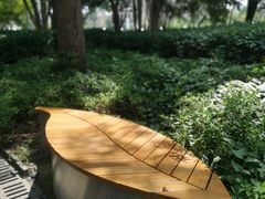 -陈家山荷花公园