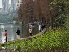 -重庆彩云湖湿地公园