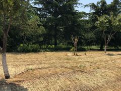 -济南国际园博园