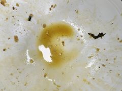 -沪依小酒馆心意菜