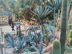 -大连森林动物园