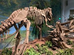 -自贡恐龙博物馆