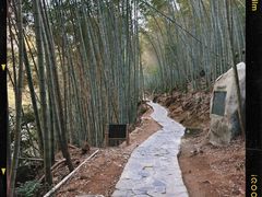 -黄山翡翠谷景区