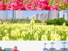 -海心沙亚运公园