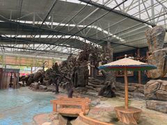 -西霞口神雕山野生动物世界