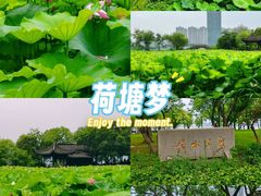 -高子水居
