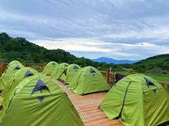 -白草畔自然风景区