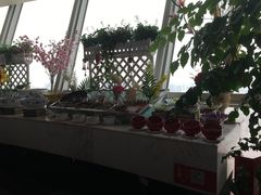 -339旋转餐厅(天府熊猫塔店)