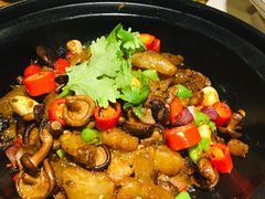 -鸡毛店·川菜(双楠店)