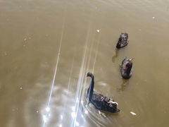 -新疆天山野生动物园