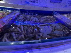 -澜悦港海鲜体验主题餐厅