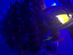 -288 Livehouse 酒吧(思南公馆店)