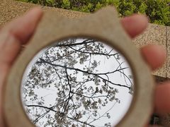 -高东镇樱花园