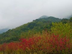 -福清灵石山国家森林公园