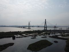 -芒洲湿地公园