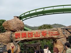 -珠海长隆海洋王国-鹦鹉过山车