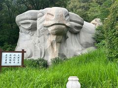 -海底捞火锅(茂业店)