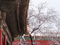 -故宫博物院(故宫)