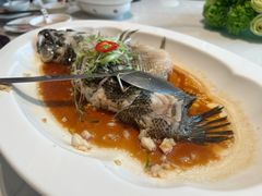 -滋粥楼·顺德菜(番禺广场总店)