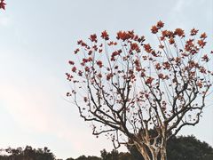 -黄兴公园