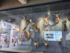 -陕西自然博物馆