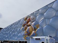 -水立方嬉水乐园