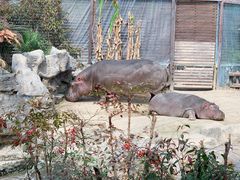 -上海野生动物园