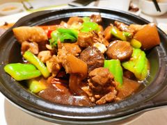 蚝豉苦瓜焖土猪肉-朱仔记食府(江南大道店)