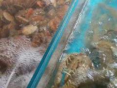 -老陈饭店(黑石支路店)