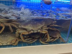 -七欣天香辣蟹火锅(南通任港路大润发店)