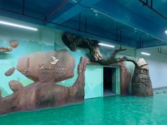 -杭州开元森泊度假乐园